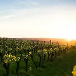 Dreamfactory Residences - Wine Escapes # 3br