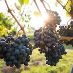 דירה Dreamfactory Residences - Wine Escapes # 3br לאנגנלויס