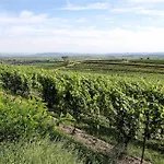 דירה Dreamfactory Residences - Wine Escapes # 3br *