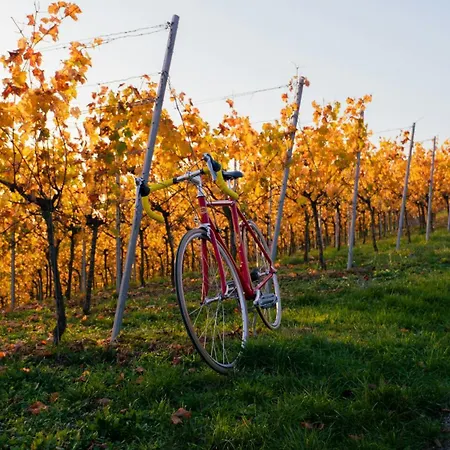 شقة Wine Escapes لانغنلويس