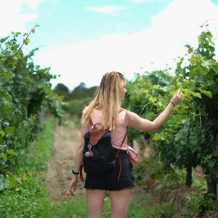 شقة Wine Escapes *