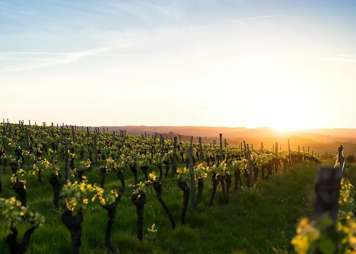 Dreamfactory Residences - Wine Escapes # 3br