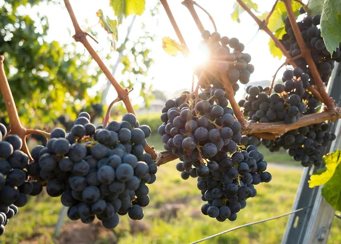 Apartament Dreamfactory Residences - Wine Escapes # 3br Langenlois