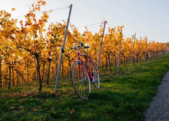 Apartament Dreamfactory Residences - Wine Escapes # 3br Langenlois