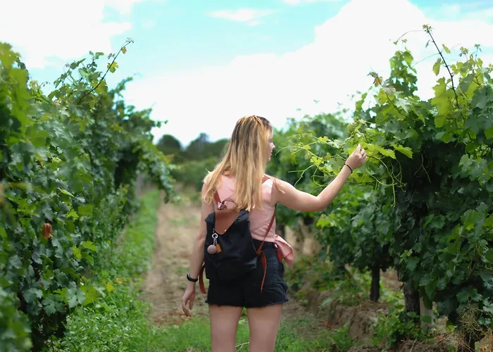 Apartment Dreamfactory Residences - Wine Escapes # 3br *