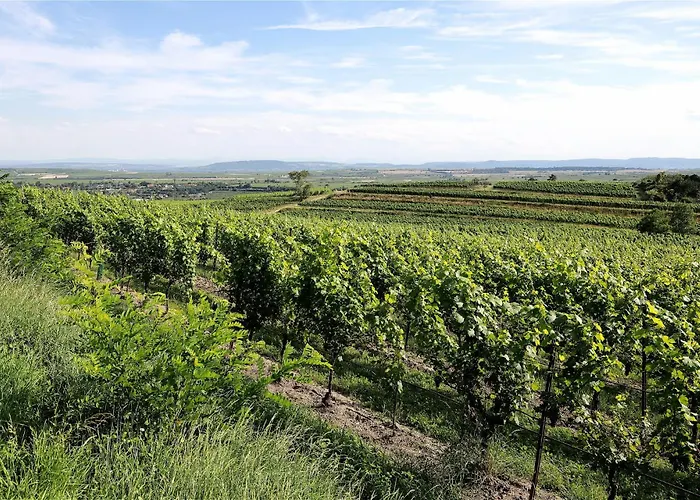 Apartament Dreamfactory Residences - Wine Escapes # 3br *